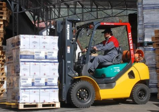 Curso Operador de Grúa Horquilla (Solo Capacitación)